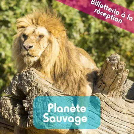 Mh 639 6 à 7 Personnes équipé Climatisé 4 étoiles Le Bois Dormant Parque de Campismo *